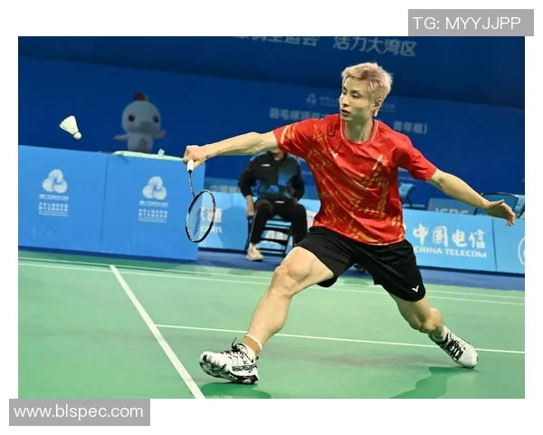 深圳羽毛球队在全国锦标赛中的个人能力分析与表现评估