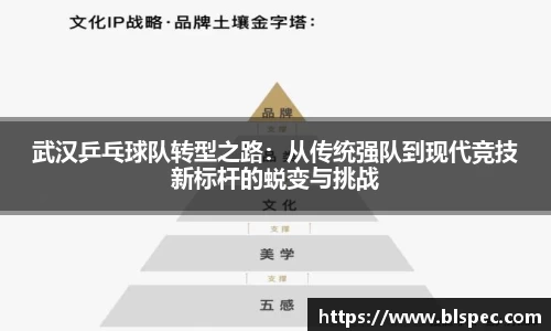 武汉乒乓球队转型之路：从传统强队到现代竞技新标杆的蜕变与挑战