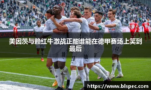 美因茨与赖红牛激战正酣谁能在德甲赛场上笑到最后