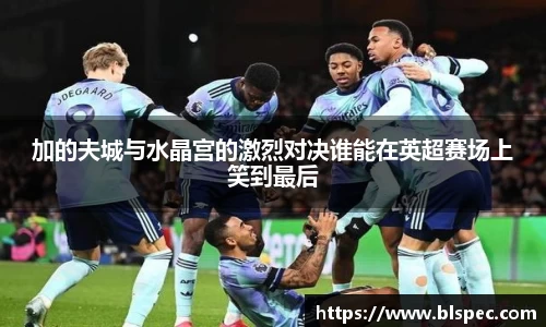 加的夫城与水晶宫的激烈对决谁能在英超赛场上笑到最后